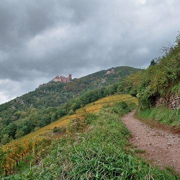 Château du Girsberg